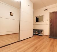 A hallway with a wooden decor floor in a 2-room apartment with a large mirror and a shoe cabinet.