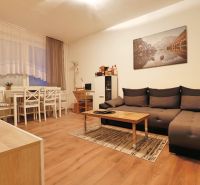 Living room with a dark sofa, dining table, and wooden decor flooring in a two-room apartment.