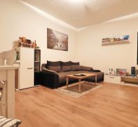 Living room in a two-room apartment with a sofa and wooden decor flooring.