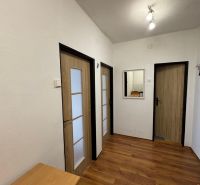 A space in a two-room apartment with a wooden decor floor and three doors.