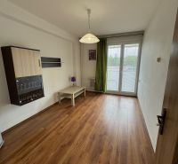 Living room in a two-room apartment with a wooden decor floor and a balcony.