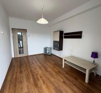 Living room in a two-room apartment with a wooden decor floor and white walls.