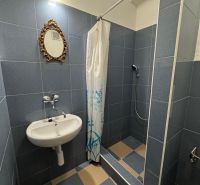 Bathroom in a 2-room apartment with a sink, mirror, and shower, blue tiles.
