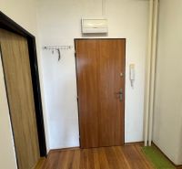 In the 2-room apartment, you can see the entrance door with a wooden decor floor and a coat rack.