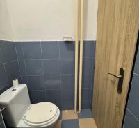A toilet with blue tiles in a 2-room apartment, doors with a wooden decor.