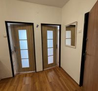A hallway in a 2-room apartment with doors and flooring featuring a wood design.