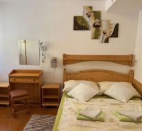 A room with wooden furniture, a floor with a wooden decor, a bed with paintings and a mirror.