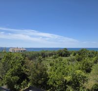 Greenery and a house with a sea view, Privlaka.