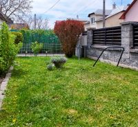 The garden of a family house in Košťany nad Turcom, maintained lawn and ornamental shrubs.
