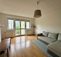 Living room with a sofa bed, wood-patterned flooring, and a television in a studio apartment.