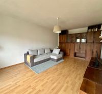Living room in a one-bedroom apartment with a sofa, wooden wall unit, and floor with a wood decor.
