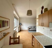 1-bedroom apartment with a kitchen, sofa, and wooden decor flooring.