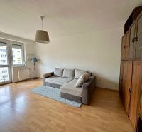 1-bedroom apartment with a sofa, cabinets, and a wooden decor floor.