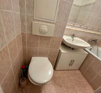 Bathroom with a toilet and a sink with storage space in a studio apartment.