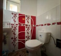 Bathroom in a family house with red tiles and a toilet.