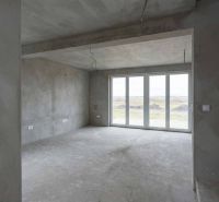 Interior of a family house with large glass doors and raw walls.