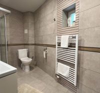 Bathroom with toilet and shower in hotels and guesthouses.