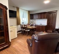 A cozy kitchen with wooden decor, classic furniture, and a comfortable armchair in hotels and guesthouses.
