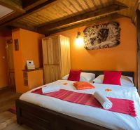 A room with bear decor, wooden ceiling, and floor with wooden decor. Hotels and guesthouses.