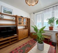 Living room in a two-room apartment with a wooden decor floor and houseplants.