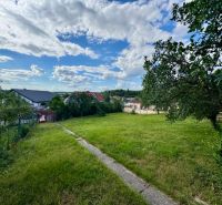 The garden of a family house in Horné Obdokovce with a lawn and fruit trees.