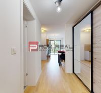 A hallway in a 2-room apartment with a wood-patterned floor and a built-in wardrobe.