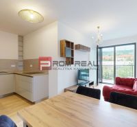 Living room with a red sofa, kitchenette, and wooden decor flooring in a two-room apartment.