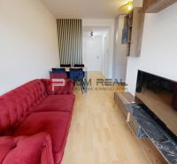 Living room in a two-room apartment with a wooden decor floor, red sofa, and television.