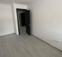 An empty room with a wooden floor and a door in a two-room apartment.