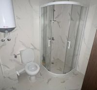 Bathroom with toilet and shower in a 2-room apartment, white tiles.