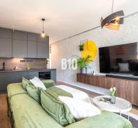 Living room with a kitchen in a 3-room apartment with a comfortable sofa and a floor with a wooden decor.