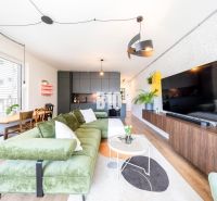 Living room in a three-room apartment with a wooden decor floor, a green sofa, and a television.