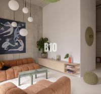 Living room with a brown sofa, coffee table, and modern lighting in a 2-room apartment.