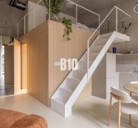 Interior of a 2-room apartment with a podium, stairs, and plants on a white background.
