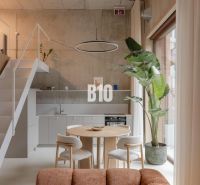 Interior of a 2-room apartment with a kitchen, living room, round table, and large plant.