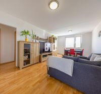 Living room in a three-room apartment with a wooden decor floor and a comfortable sofa.