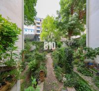 Garden in the courtyard full of greenery and various plants, Bratislava - Old Town, Kozia.