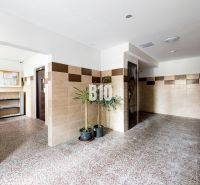 Entrance hall with flowers and tiles in a 3-room apartment.