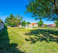The garden of a family house in Branč with a lawn and trees.