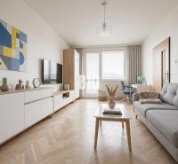 A bright living room in a three-room apartment with decorative elements, and a wooden decor floor.