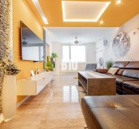 Living room of a three-room apartment with a fireplace, leather sofa, and wooden decor flooring.