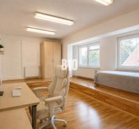 A spacious room in a 2-room apartment with a computer desk and a bed on an elevated floor.