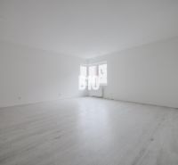 Empty room in a studio apartment with wood-patterned flooring.