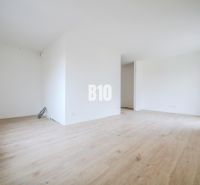 Bright room with wood-decor flooring in a studio apartment.