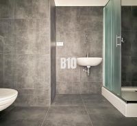 Bathroom in a 2-room apartment with a toilet, shower, and dark tiles.