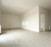 Spacious bright interior with wood-decor flooring in a 2-room apartment.