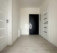Entrance hallway in a 2-room apartment with wood-patterned flooring and white doors.