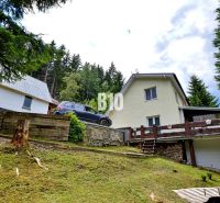 A cottage in nature in Olešná, surrounded by coniferous trees and lush lawn.