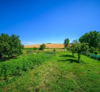 A garden at a family house in Stará Bašta surrounded by greenery and fruit trees.