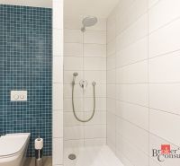 A bathroom in a 2-room apartment with a shower, white and blue tiles.